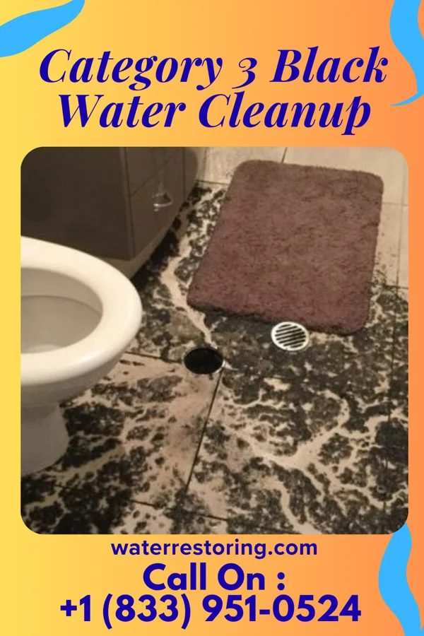 Category 3 Black Water Cleanup in Riverview, MI