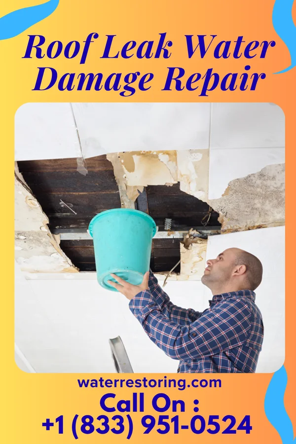 Roof Leak Water Damage Repair in Riverview, MI