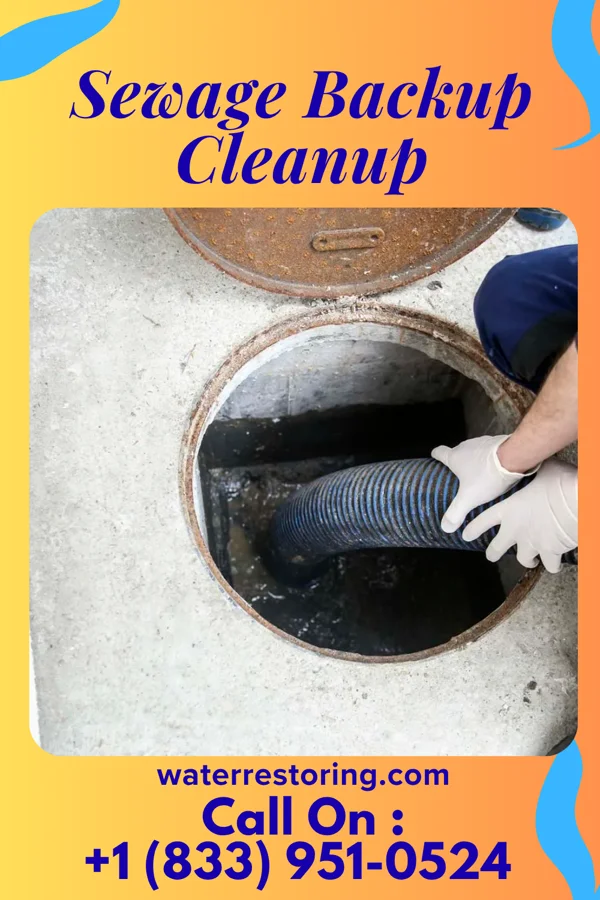 Sewage Backup Cleanup in Riverview, MI